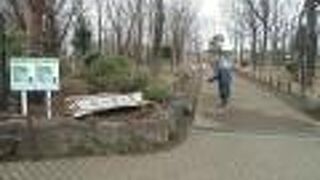 水田も日本庭園もあります