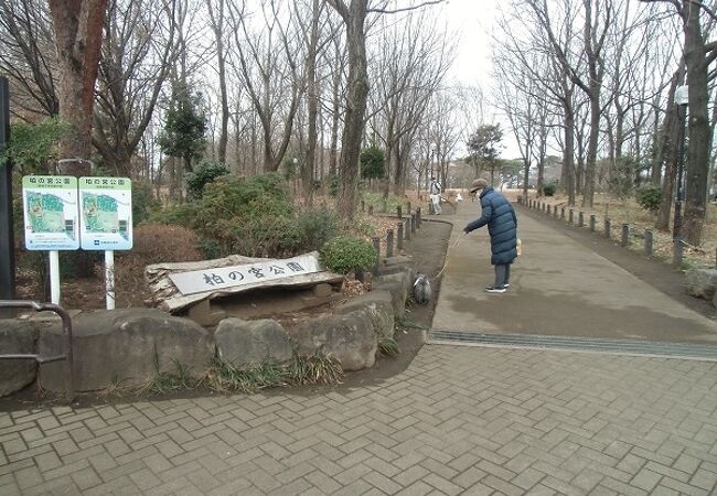 水田も日本庭園もあります