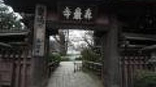 古色蒼然とした木の山門と本堂前の紅梅がいい