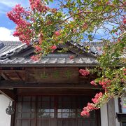 市役所の隣に花の咲くお寺がある