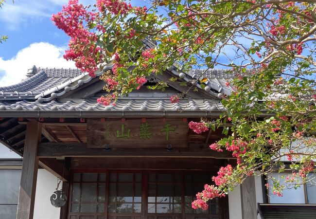 市役所の隣に花の咲くお寺がある