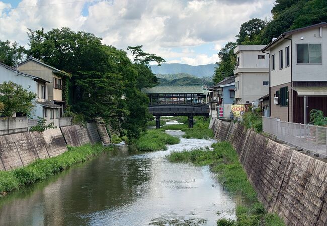 金倉川を見てきました。