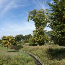 北海道さしさもあります