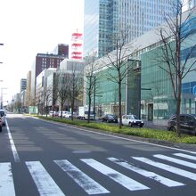 ５月は新緑には早いです