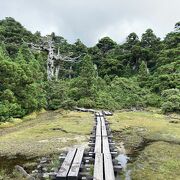 淀川登山口からおよそ４キロ地点