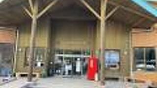 グアバ４個で１００円とお得でした。