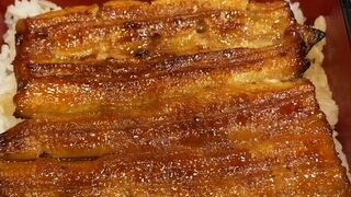 おいしいうなぎをいただきました