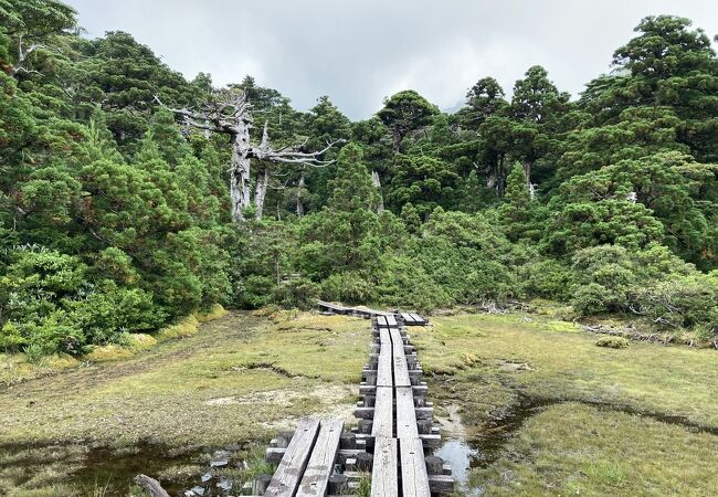 淀川登山口からおよそ４キロ地点