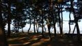 天神浜オートキャンプ場