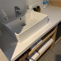 お部屋入ったら あった 洗面ボール。洗面所 ではありません