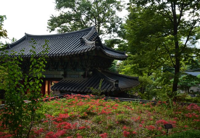 吉祥寺