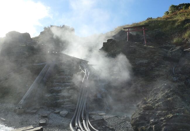 源泉に目を奪われる