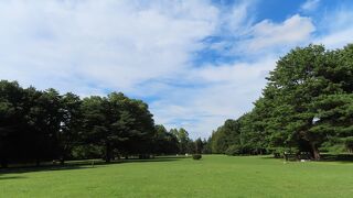 もと国際基督教大学のゴルフ場が素敵な野川公園になっていました