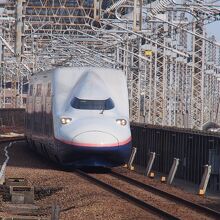 大宮駅に入ってくる上越新幹線MAXたにがわ号