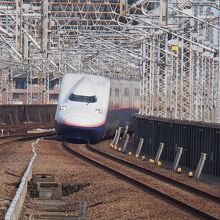 大宮駅に入ってくる上越新幹線MAXたにがわ号