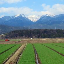 白山連峰を背景に田植え終了