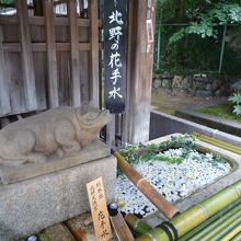 手水舎も牛が見守ってます