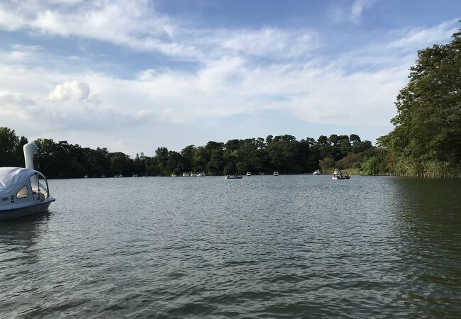 洗足池 ボート クチコミ アクセス 営業時間 馬込 池上 フォートラベル