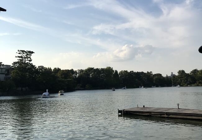 馬込 池上のおすすめ観光スポット クチコミ人気ランキングtop20 フォートラベル 東京