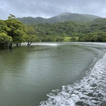 蛇行した川がなんとも言えない