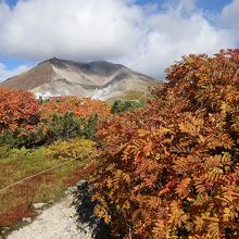 紅葉が綺麗でした