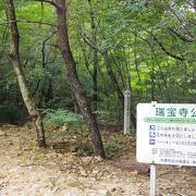 緑色濃い瑞宝寺公園