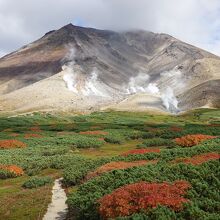 紅葉が綺麗でした