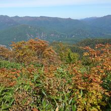 ７合目からは登山道です。ここはもう紅葉です。