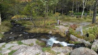 しゃくなげの季節に行きたいです。