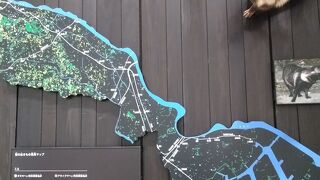 かわさき宙と緑の科学館 