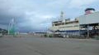 ちょっと寂しげでした