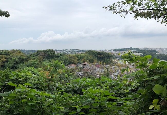 鎌倉山の南に広がる広大な自然公園