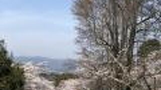 京都の桜の名所のひとつ