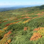 眺望抜群！眼下の紅葉も見られます。