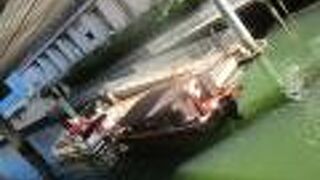 今回はクルーズを楽しんだ