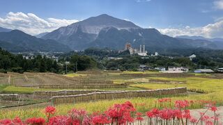 9月下旬 曼珠沙華が見られました。緊急事態宣言下で人出は例年より少なめです。