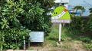 日本一低い山？