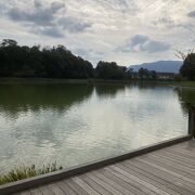 橿原神宮横の池