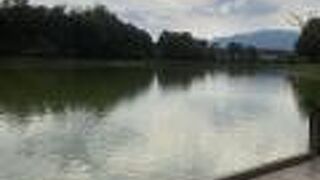 橿原神宮横の池