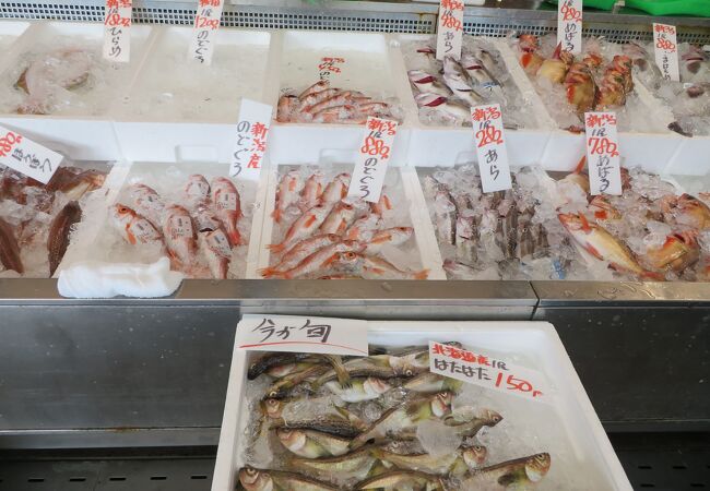 ピアバンダイ 万代島鮮魚センター クチコミ アクセス 営業時間 新潟市 フォートラベル