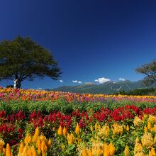 那須岳が奥に見えます