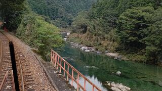 清流を眺めながら