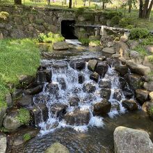 綺麗な小川が流れる。