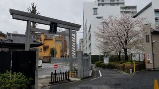 正面の鳥居は江戸時代のもの