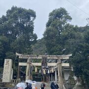 漁村を見守る荘厳な神社