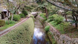 日本の道100選に選ばれてるそうですが、思ったほどでも・・・