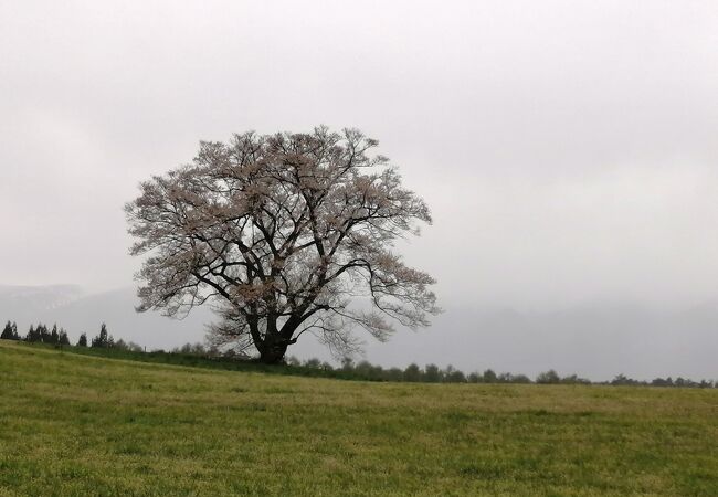 天気が残念でしたが・・