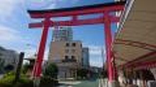 ここの商店街は他のところよりは人通りもある