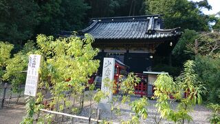 医療・薬業の守護神