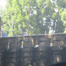 緑の前に渋沢栄一が